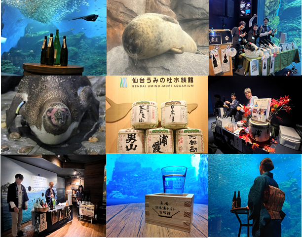 「魚を肴に 日本酒ナイト水族館」
