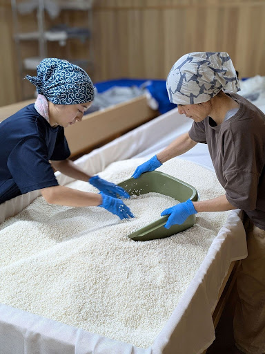 日本酒を作る様子