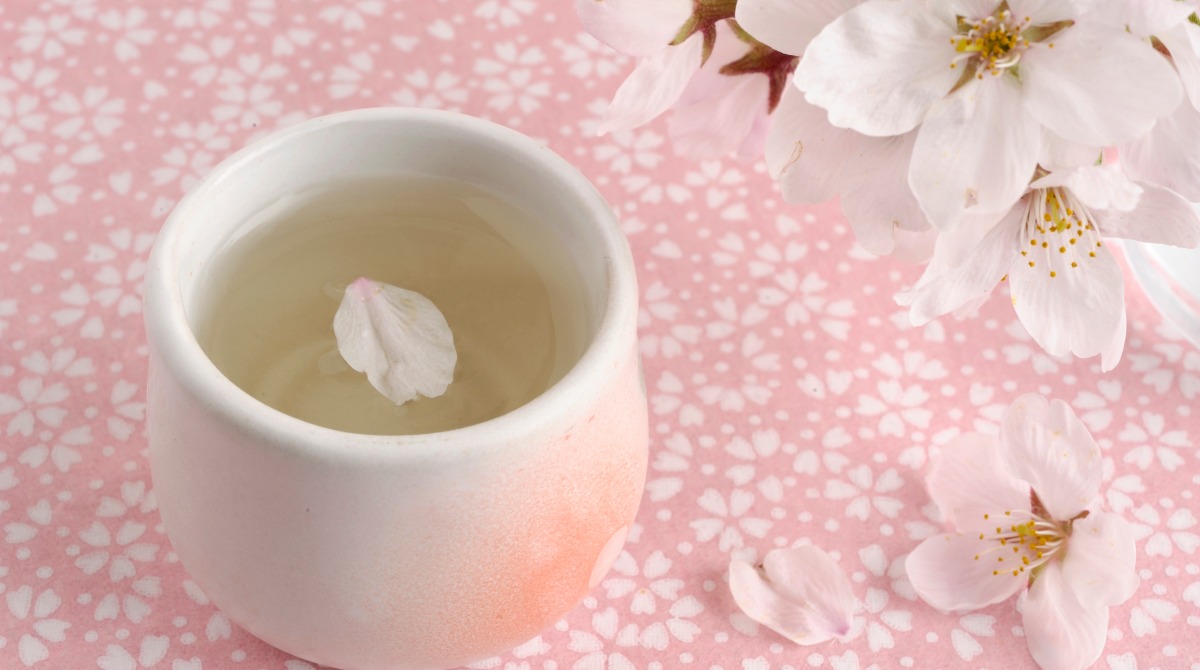 日本酒に桜の花びらが浮かぶ