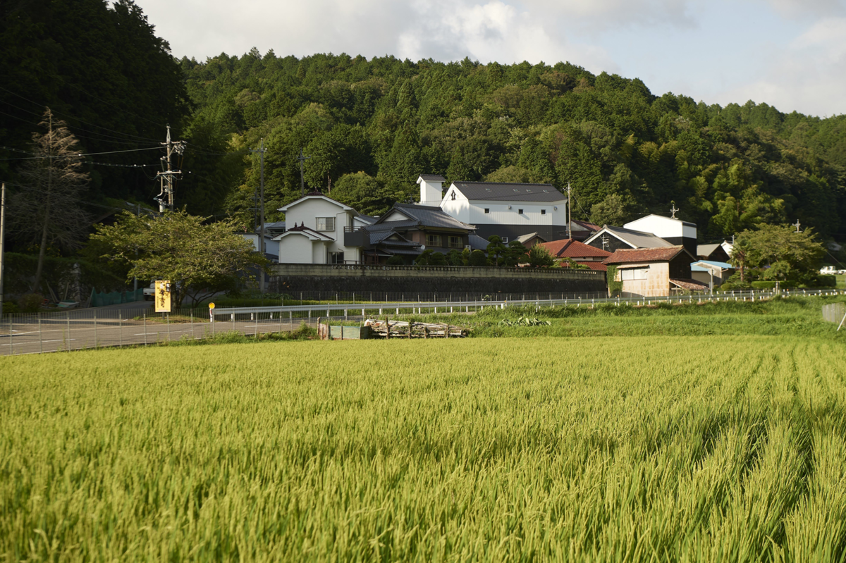 田んぼと酒蔵
