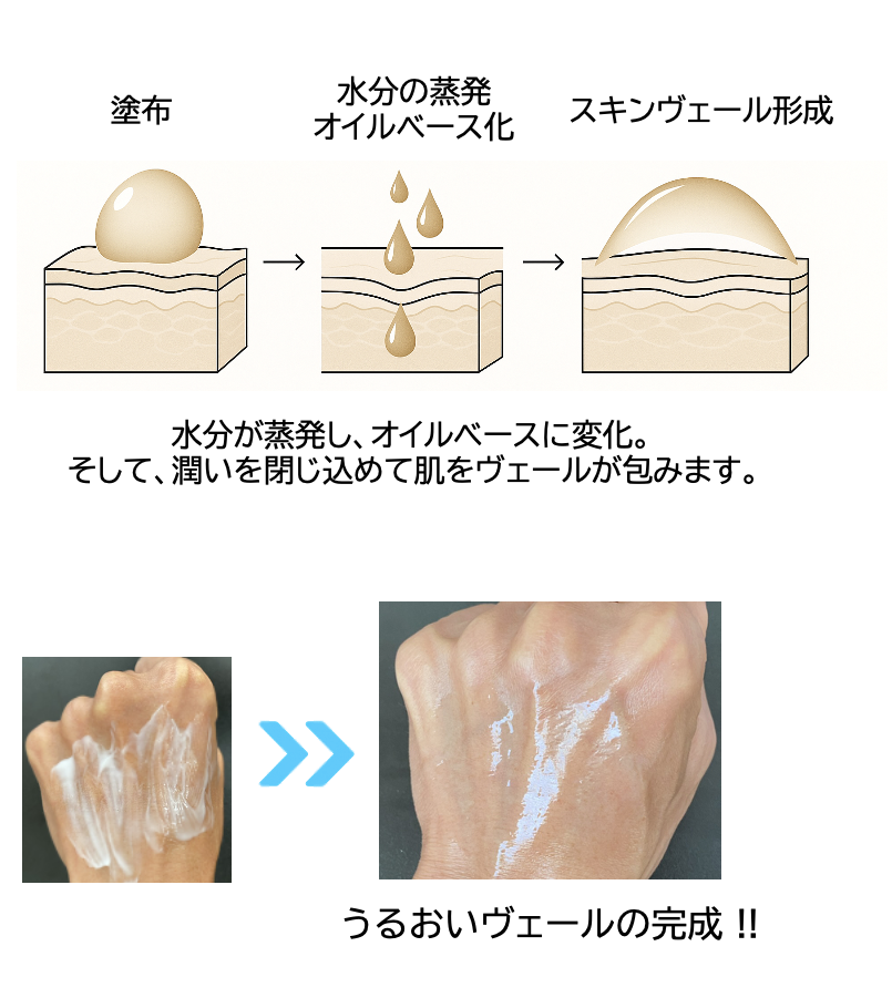 クリームがどのように肌に浸透していくのか、構造を説明した画像