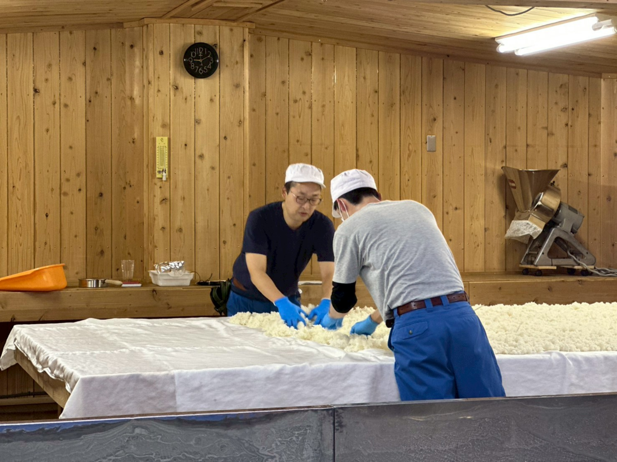 製麹中の蔵人