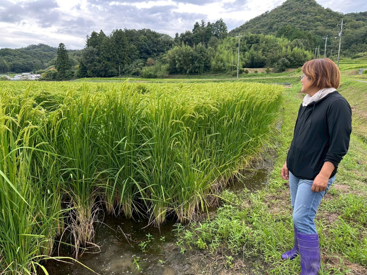 田んぼの傍らに立つ女性