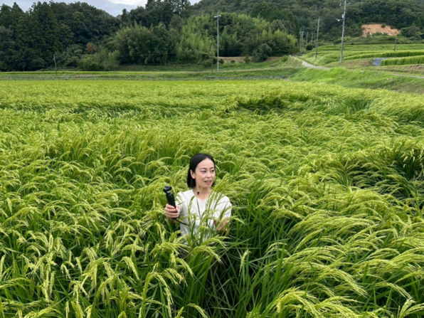 田んぼの中に入る女性